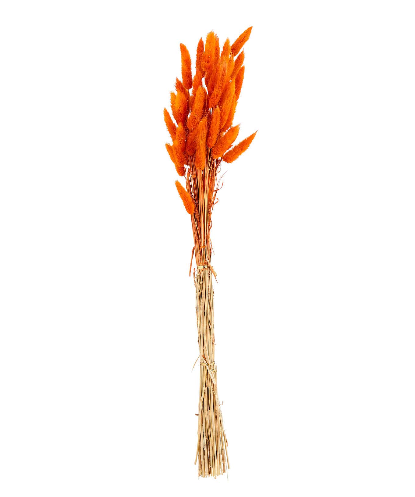 Floral Décor | Half Price Christmas Styles | Home | Home Joe Browns Beautiful Faux Bunny Tail Grass Rust / Dk Green / Fuchsia / Mustard / Multi / Red / Blue / Black / Lilac